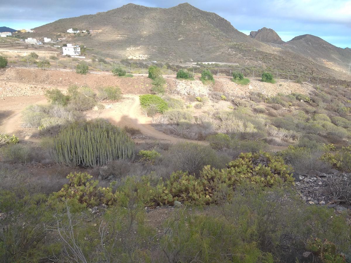 El Cerro De La Luna Arona  Exterior photo